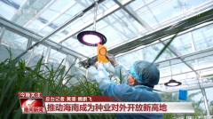 黑紫色玉米、棕色秋葵……你见过的、没见过的